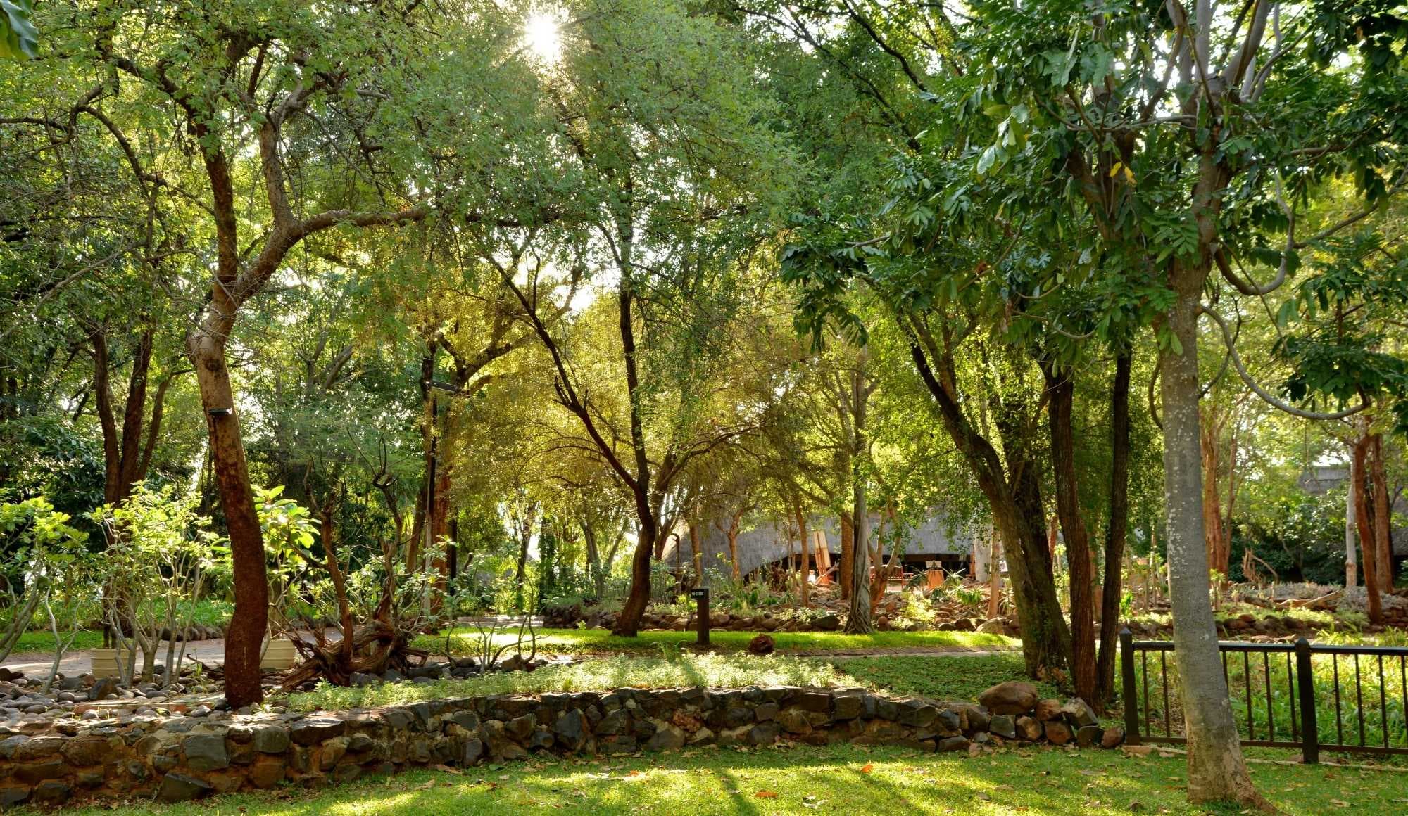 Victoria Falls Safari Lodge garden