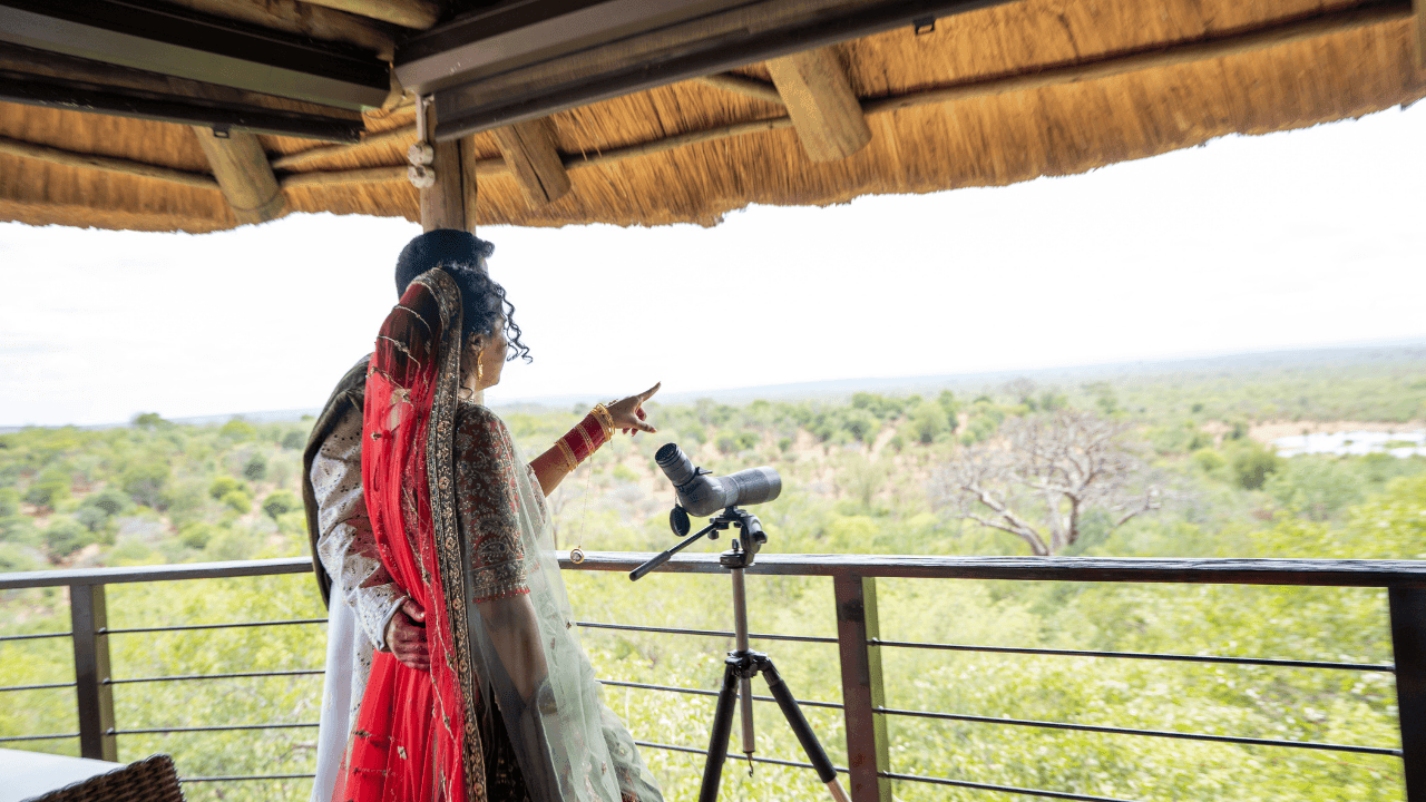 Primary gallery media