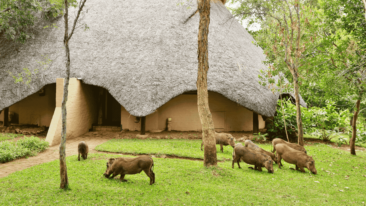 Arrival at your lodge