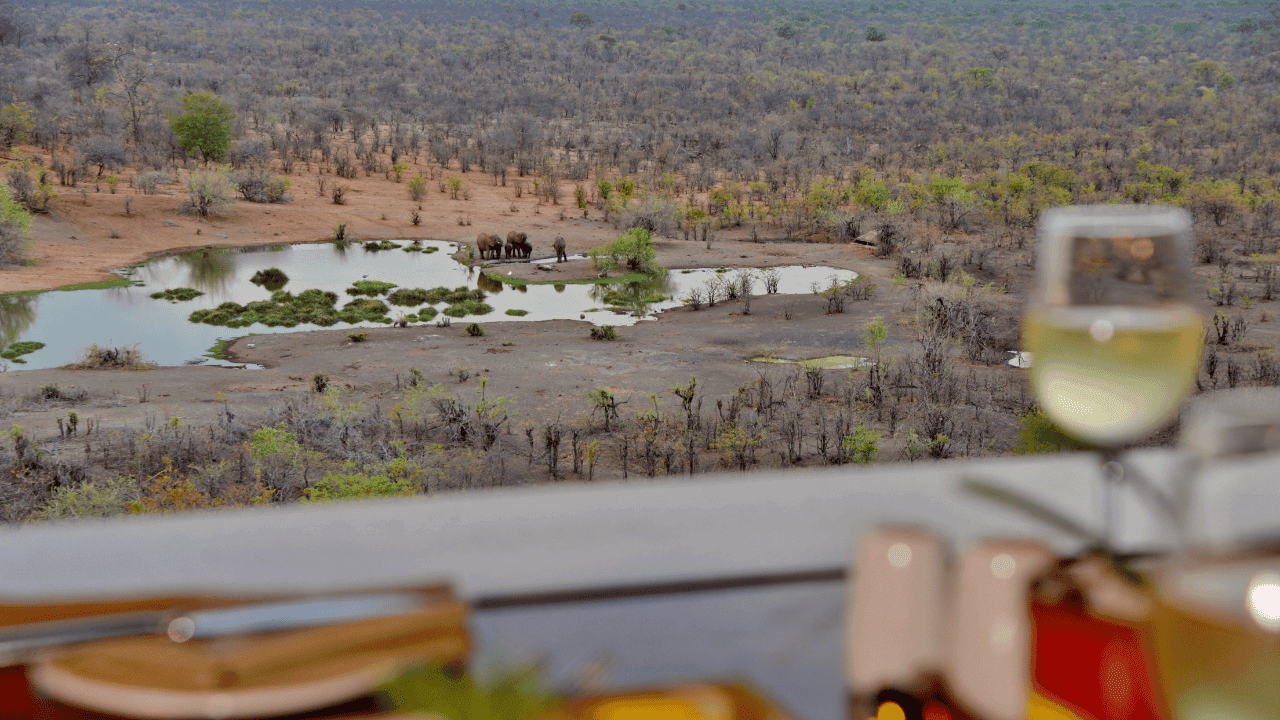 Primary gallery media