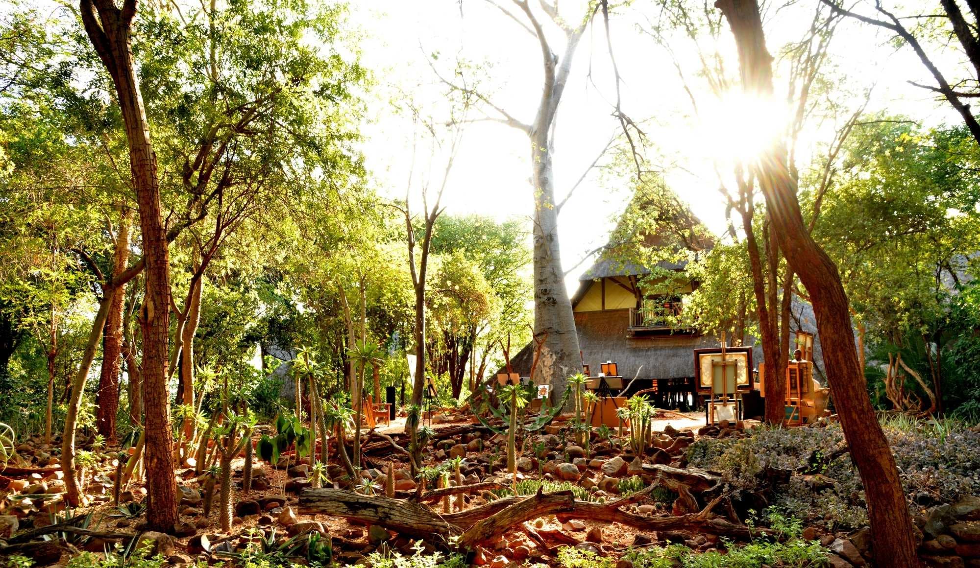 Sun peeking through the trees at Victoria Falls Safari Lodge