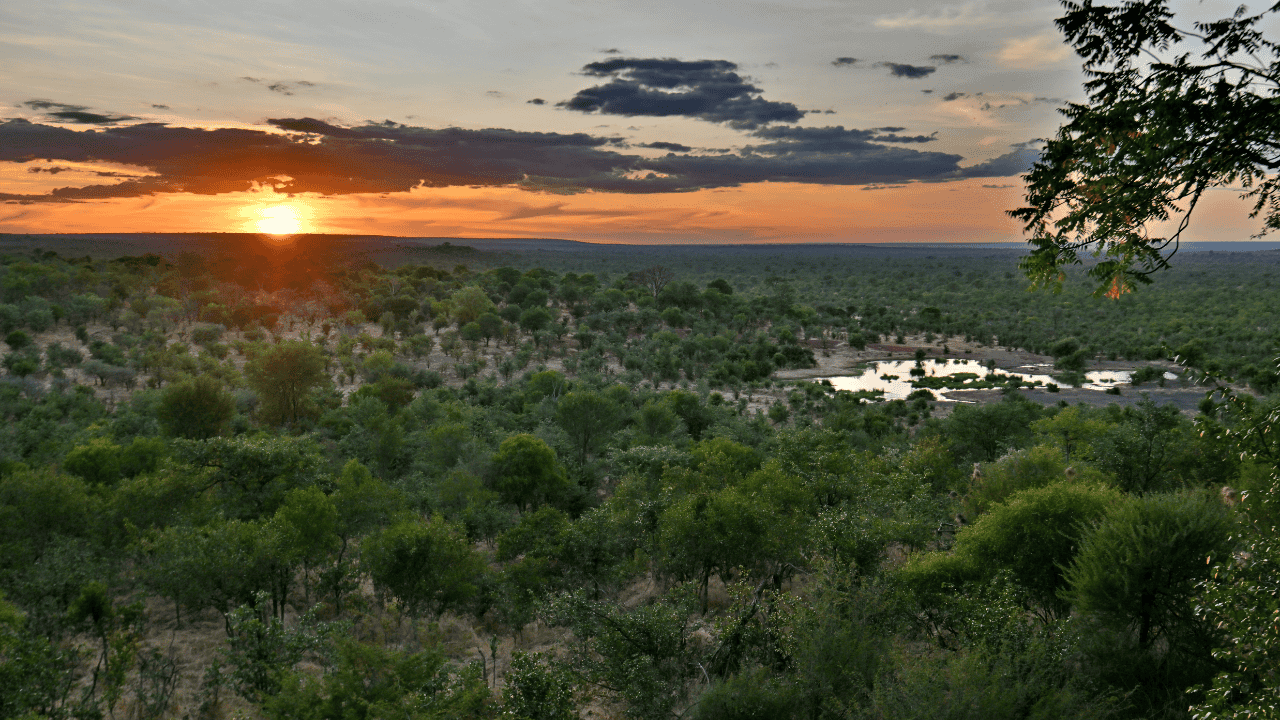 Activities and attractions