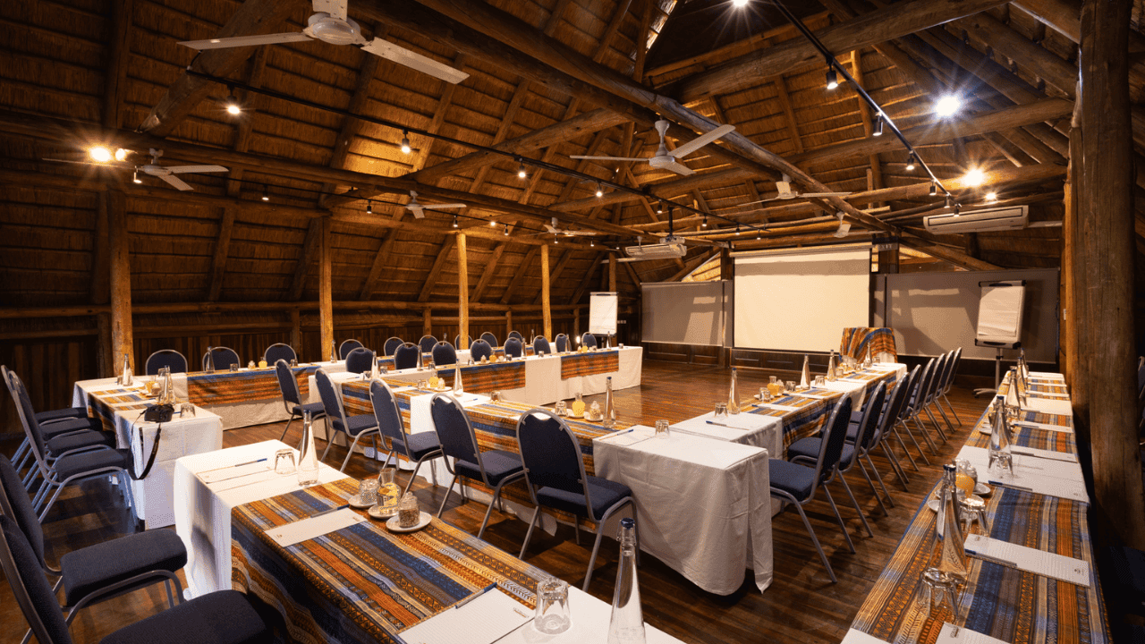 Primary gallery media