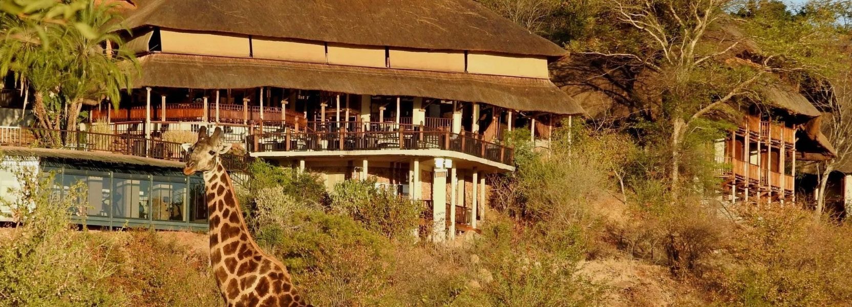 Stay where wildlife comes to you